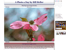 Tablet Screenshot of billsphotooftheday.com